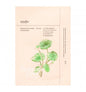 Probiotics & cica Water soothing mask to-dak